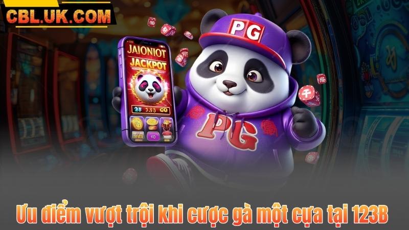 Ưu điểm vượt trội khi cược gà một cựa tại 123B